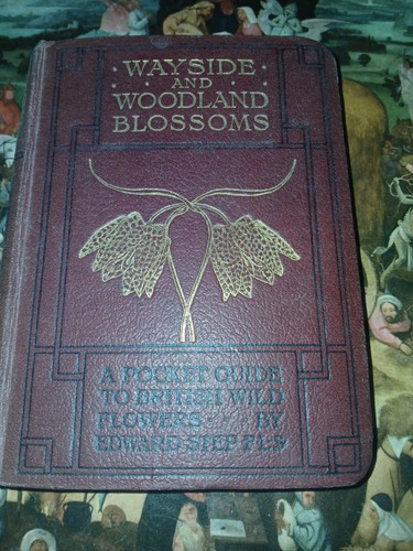 Wayside and woodland blossoms - wayside,