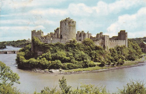 Pembroke castle wales wilding - pembroke,
