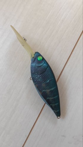 Deps cascavel florida - florida, blue