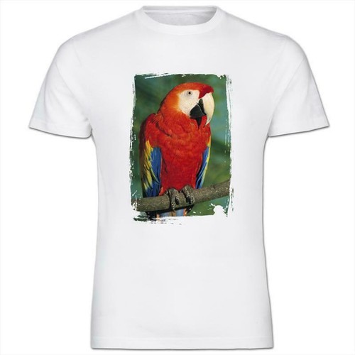 Scarlet macaw parrot mens - parrot,