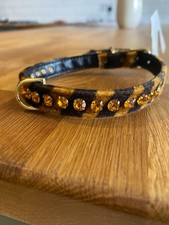 Mirage new stunning tiger dog