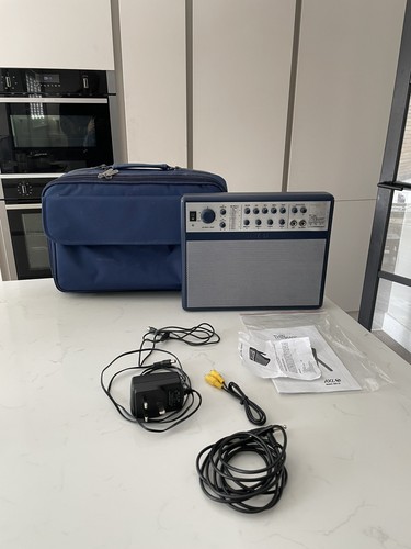 Axl thinamp compact electric - thinamp,