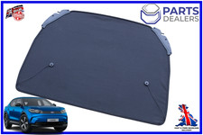 GENUINE FORD CAPRI EV