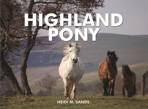 Spirit the highland pony - the, by
