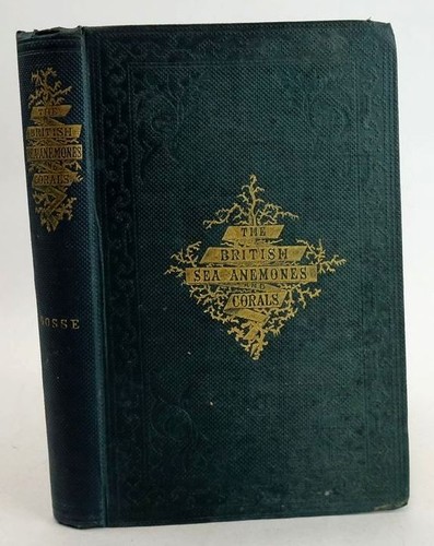 History the british - history,