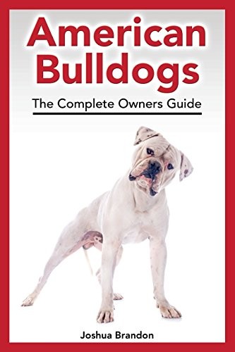 American bulldogs the - bulldogs:,