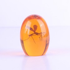 3D Paperweights Tools Mosquito