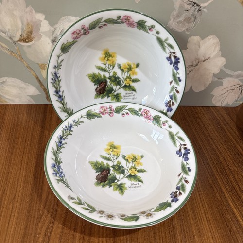 Royal worcester herbs x - herbs,