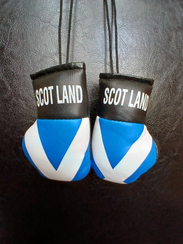 Scotland flag pair mini - pair,