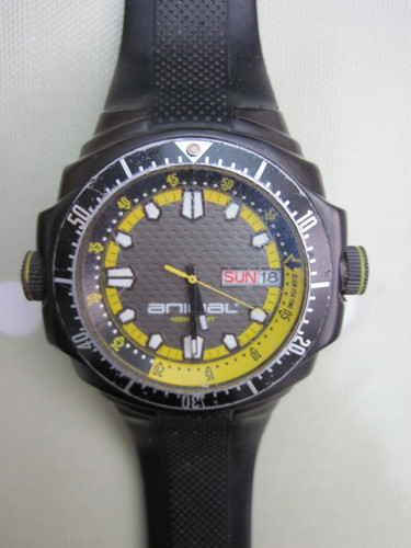 Animal armadilo watch also - animal,