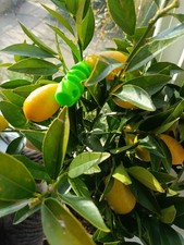 1:1 balun line isolator choke