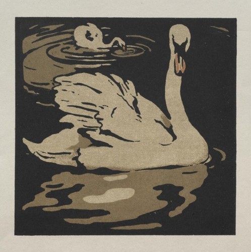 The beautiful swan woodcut - beautiful,