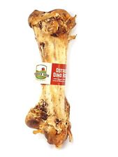 Ultimate Ostrich "DINO" Bone