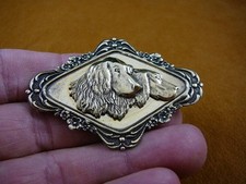 (b-dog-355) Two hunting dogs