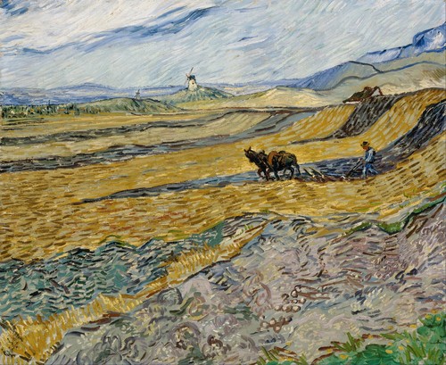 Vincent van gogh enclosed - vincent,