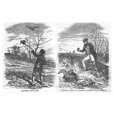 BIRDS Falconing Scenes Hawking