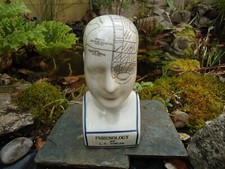 PHRENOLOGY HEAD L.N FOWLER