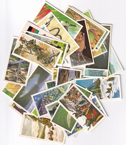 Brooke bond tea cards - tea, all