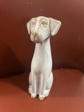 Next Stunning Grey Dog