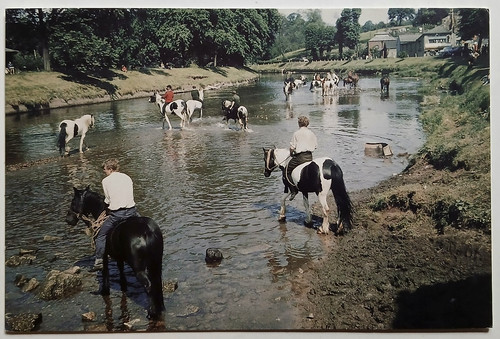 Appleby horse fair cumbria - appleby,