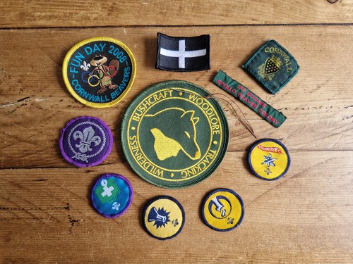 Scout badges selection - , of