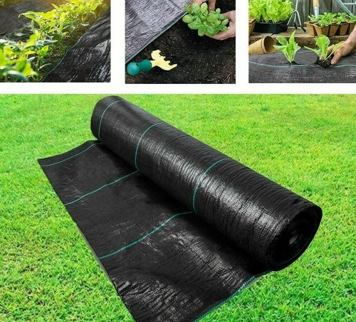 Heavy duty weed control - heavy,