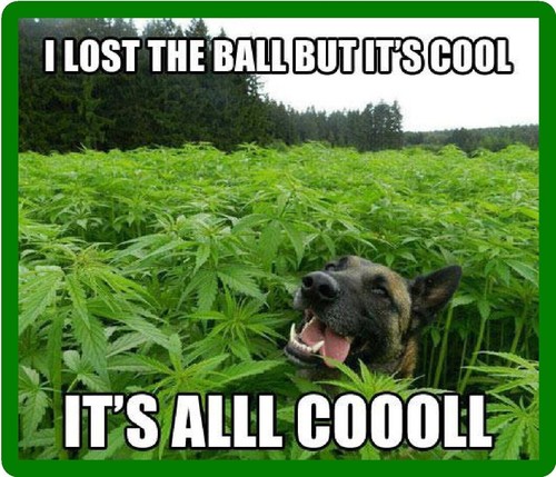 Lost the ball - lost,