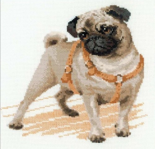 Riolis cross stitch kit pug - cross,