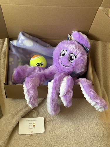 Dog gift hamper purple - dog,