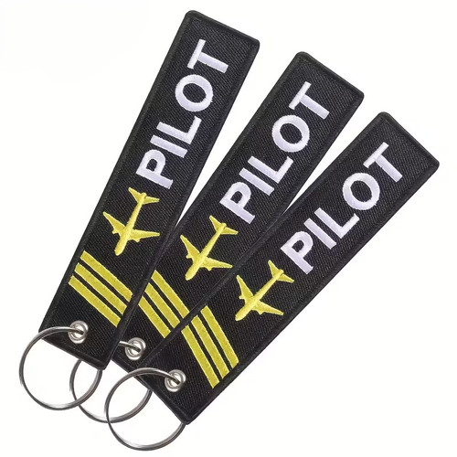 Pilot remove before flight - pilot,