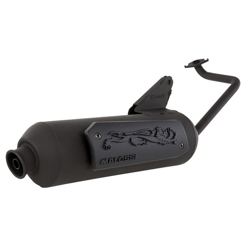 Malossi wild lion exhaust for - wild,