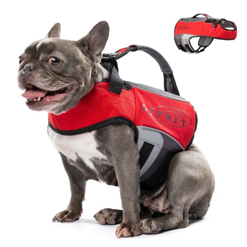 Osprey dog life jacket - life,