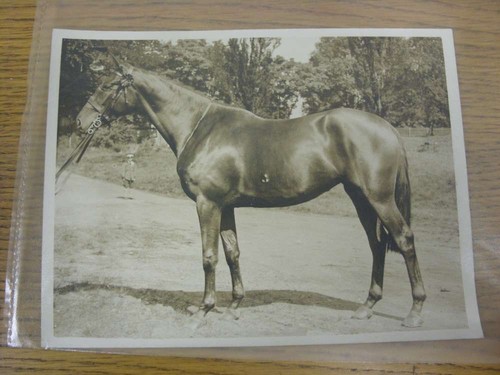Circa 1920 show jumping - 1920's,