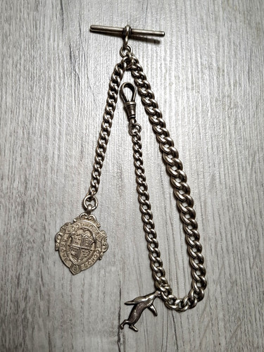 Antique sterling silver albert - antique,