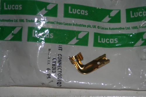 Genuine lucas degree - genuine,