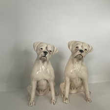 White Boxer Dog salt and