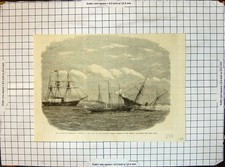 Antique Print Deerhound