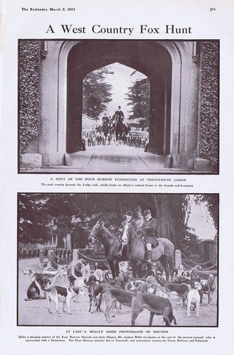 Tregothnan hunt cornwall with - tregothnan, cornwall,