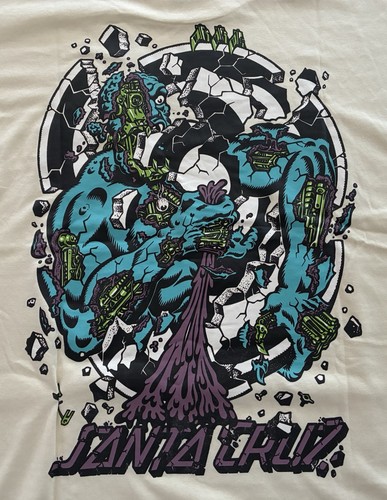 Santa cruz skateboards - skateboards, rob