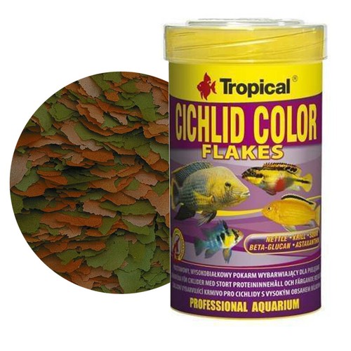 Tropical cichlid color - tropical,