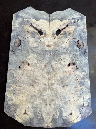Buckeye burl bookmatched - burl,