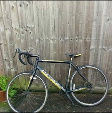 Carrera 7005 T6 Men’s Road