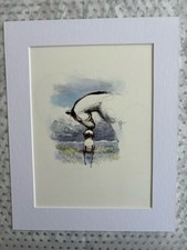 THE BOY THE MOLE  THE FOX THE HORSE AND STORM MACKESY MOUNTED BOOK PAGE