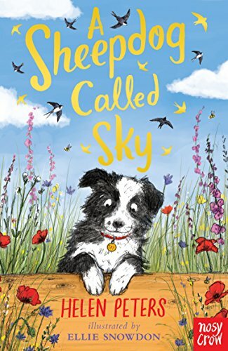 Sheepdog called sky - a,
