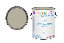 Classic Paint For Ford Escort