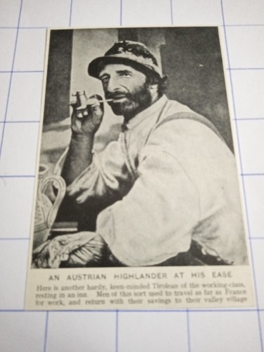 Austria austrian highlander - austria,