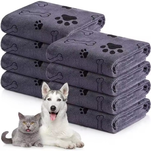 Large dog cat - cat, drying