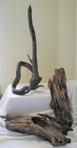 Pieces driftwood dried - 3, driftwood/dried