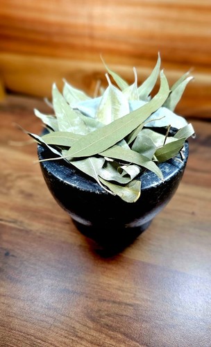 Eucalyptus leaves dried - eucalyptus, leaf