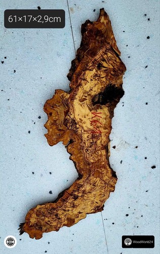 Olive root wood - olive, tree